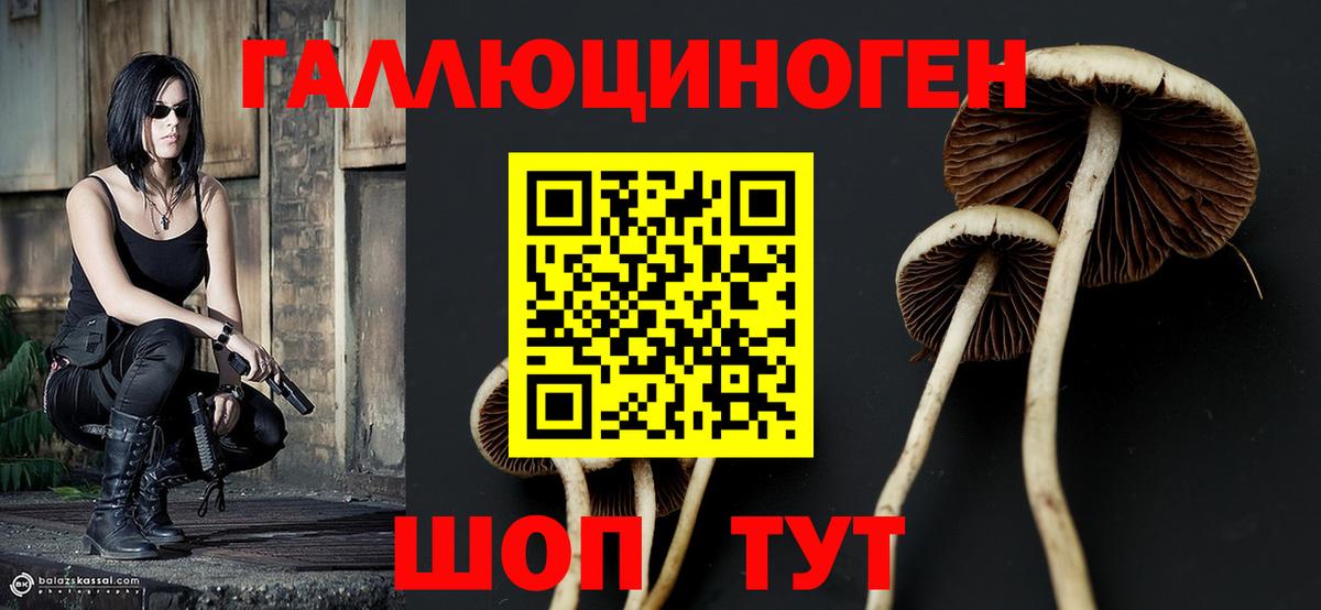 Галлюциногенные грибы мухоморы  Вход с VPN  Фролово  Галлюциногенные грибы мухоморы 