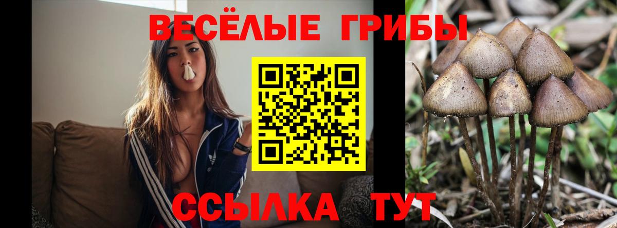Галлюциногенные грибы Magic Shrooms Фролово